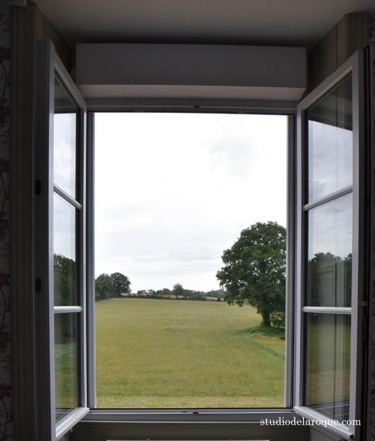 Domaine De La Briouse Bed and Breakfast Sanxay Exteriör bild