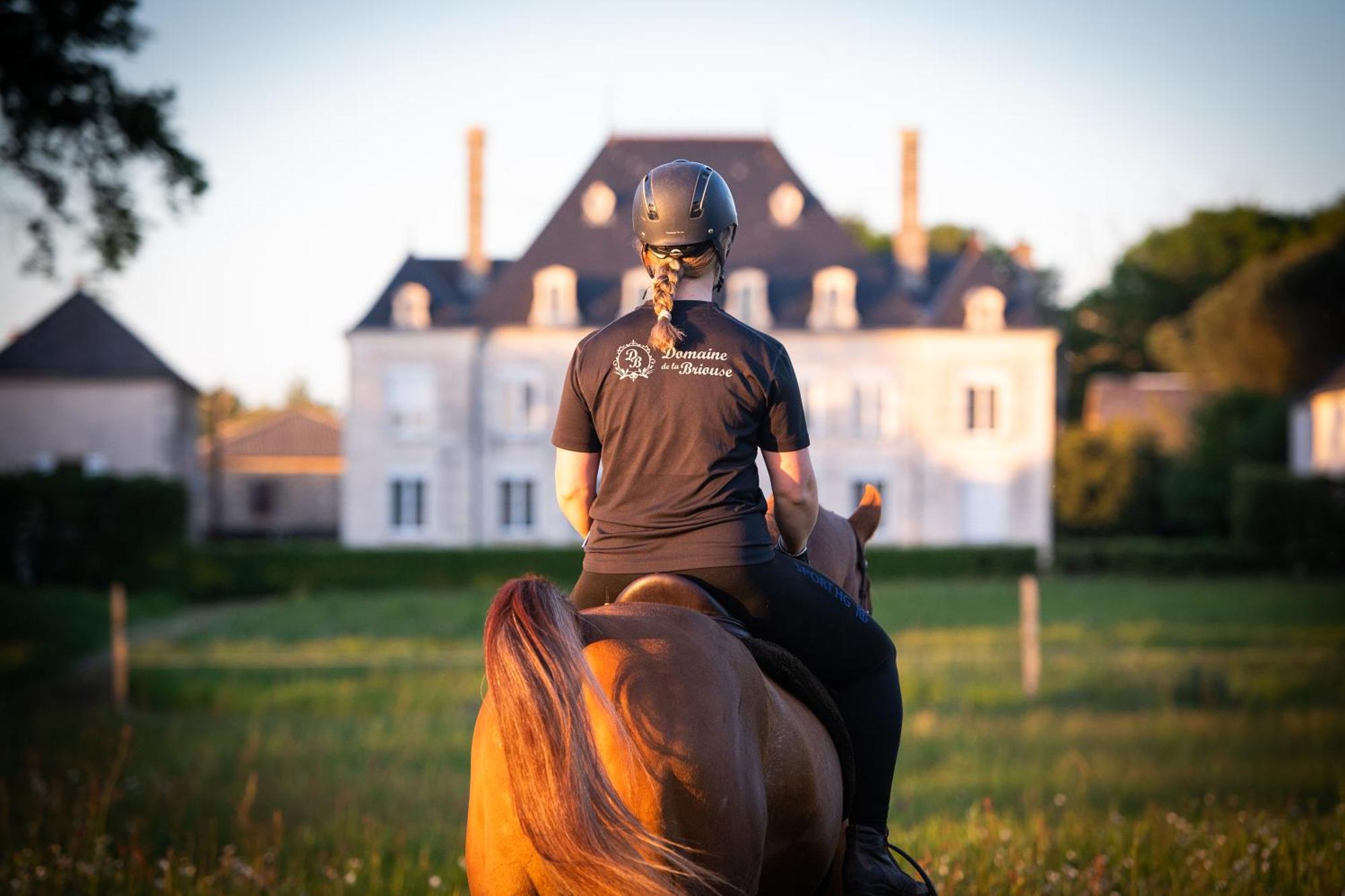Domaine De La Briouse Bed and Breakfast Sanxay Exteriör bild